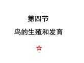 初中生物人教版八年级下册 第四节鸟的生殖和发育 1 课件