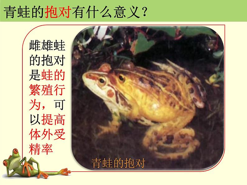 初中生物人教版八年级下册 第三节两栖动物的生殖和发育 3 课件第7页