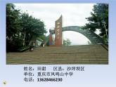 初中生物人教版八年级下册 第二节基因在亲子代间的传递 1 课件