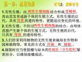 初中生物人教版八年级下册 第二节昆虫的生殖和发育 课件