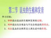 初中生物人教版八年级下册 第二节昆虫的生殖和发育 课件