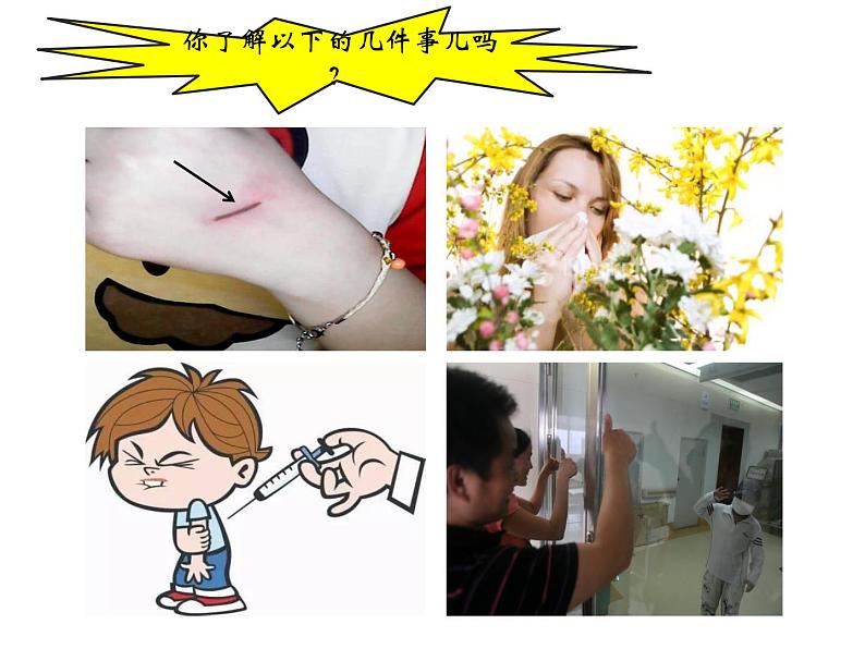 初中生物人教版八年级下册 第二节免疫与计划免疫 1 课件01