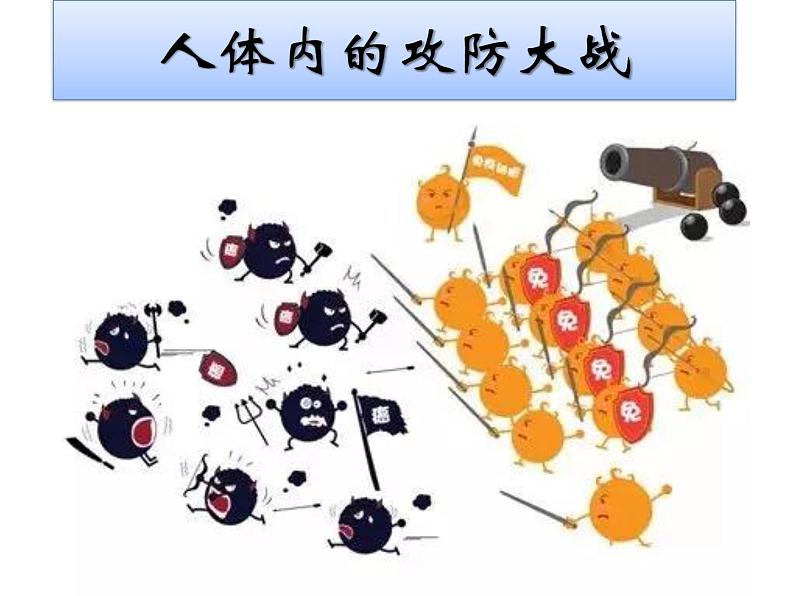 初中生物人教版八年级下册 第二节免疫与计划免疫 1 课件05