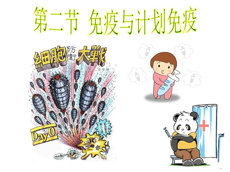 初中生物人教版八年级下册 第二节免疫与计划免疫 1 课件06