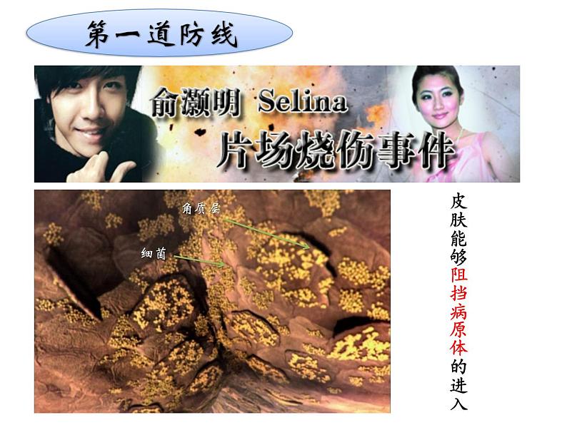 初中生物人教版八年级下册 第二节免疫与计划免疫 1 课件08