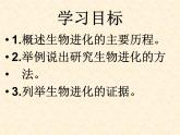 初中生物人教版八年级下册 第二节生物进化的历程 1 课件