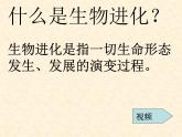 初中生物人教版八年级下册 第二节生物进化的历程 1 课件