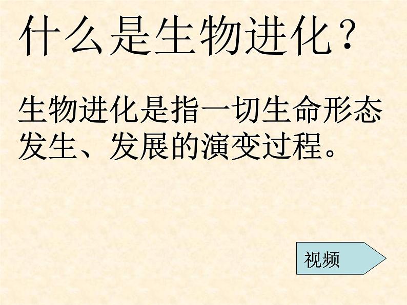 初中生物人教版八年级下册 第二节生物进化的历程 1 课件03