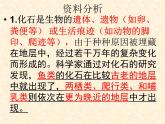 初中生物人教版八年级下册 第二节生物进化的历程 1 课件