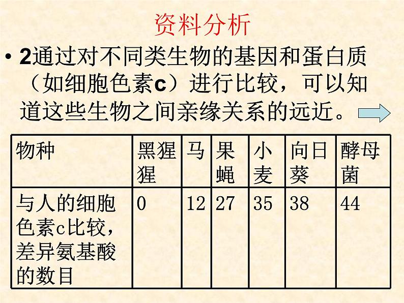 初中生物人教版八年级下册 第二节生物进化的历程 1 课件08