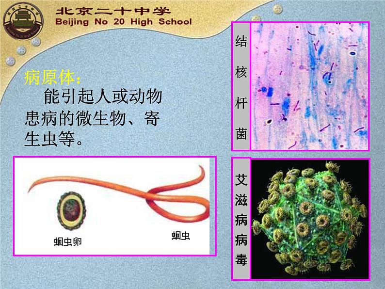 初中生物人教版八年级下册 第一节传染病及其预防 1 课件06