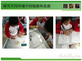 初中生物人教版八年级下册 第二节免疫与计划免疫 课件