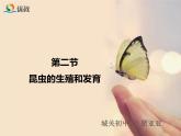 初中生物人教版八年级下册 第二节昆虫的生殖和发育 4 课件