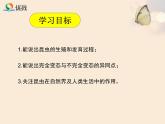 初中生物人教版八年级下册 第二节昆虫的生殖和发育 4 课件