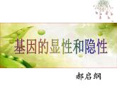 初中生物人教版八年级下册 第三节基因的显性和隐性 课件