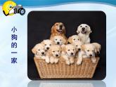 初中生物人教版八年级下册 第一节基因控制生物的性状 1 课件
