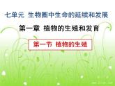 初中生物人教版八年级下册 第一节植物的生殖 1 课件