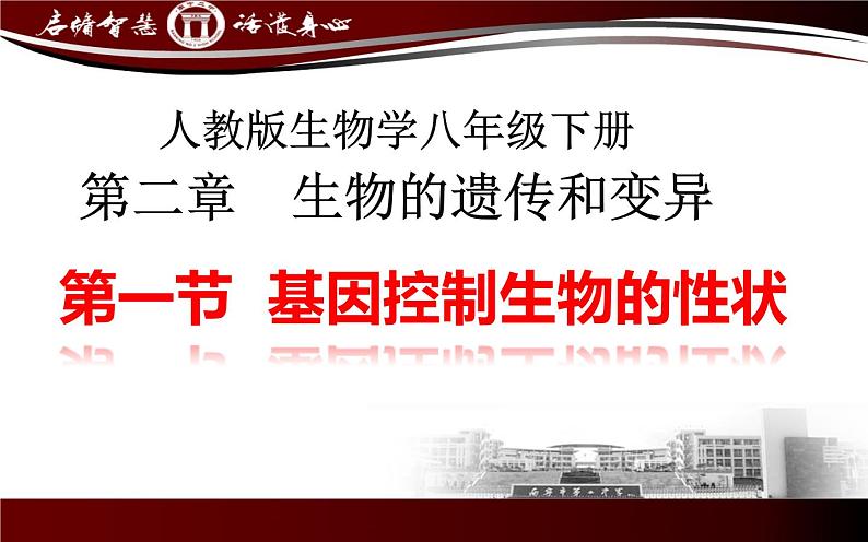 初中生物人教版八年级下册 第一节基因控制生物的性状 1 课件第2页