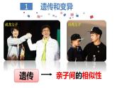 初中生物人教版八年级下册 第一节基因控制生物的性状 1 课件