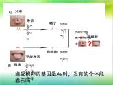 初中生物人教版八年级下册 第三节基因的显性和隐性 2 课件