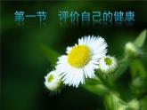 初中生物人教版八年级下册 第一节评价自己的健康状况 课件