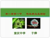 初中生物人教版八年级下册 第一节传染病及其预防 6 课件