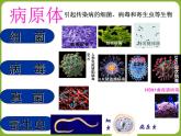 初中生物人教版八年级下册 第一节传染病及其预防 6 课件