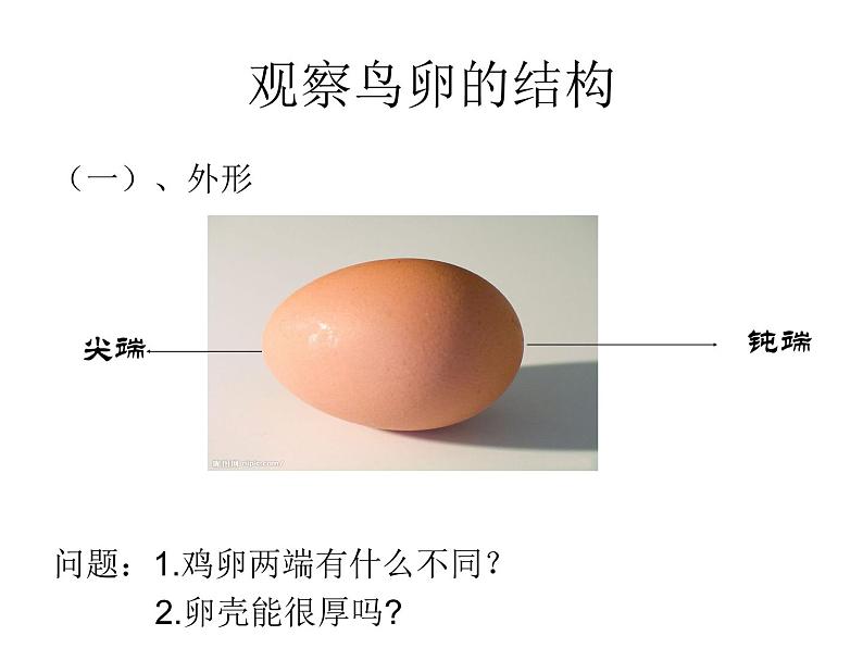 初中生物人教版八年级下册 第四节鸟的生殖和发育 课件第3页