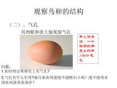 初中生物人教版八年级下册 第四节鸟的生殖和发育 课件