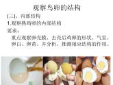 初中生物人教版八年级下册 第四节鸟的生殖和发育 课件