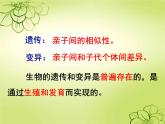 初中生物人教版八年级下册 第一节基因控制生物的性状 课件