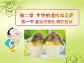 初中生物人教版八年级下册 第一节基因控制生物的性状 课件