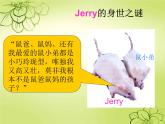 初中生物人教版八年级下册 第一节基因控制生物的性状 课件