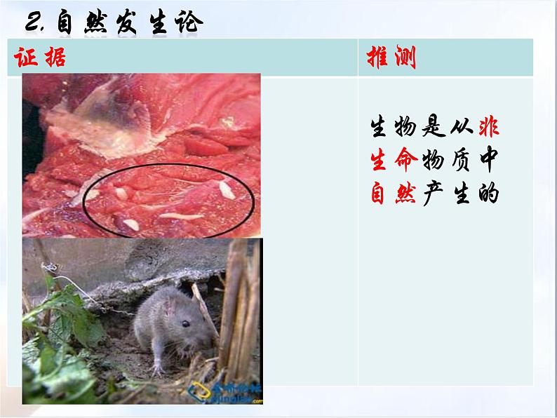 初中生物人教版八年级下册 第一节地球上生命的起源 课件06