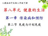 初中生物人教版八年级下册 第二节免疫与计划免疫 4 课件