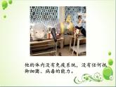 初中生物人教版八年级下册 第二节免疫与计划免疫 4 课件