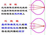 初中生物人教版八年级下册 第一节传染病及其预防 7 课件