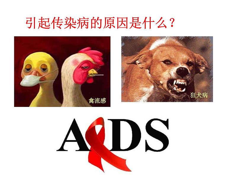 初中生物人教版八年级下册 第一节传染病及其预防 7 课件08