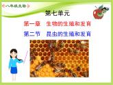 初中生物人教版八年级下册 第二节昆虫的生殖和发育 3 课件