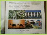 初中生物人教版八年级下册 第二节昆虫的生殖和发育 3 课件
