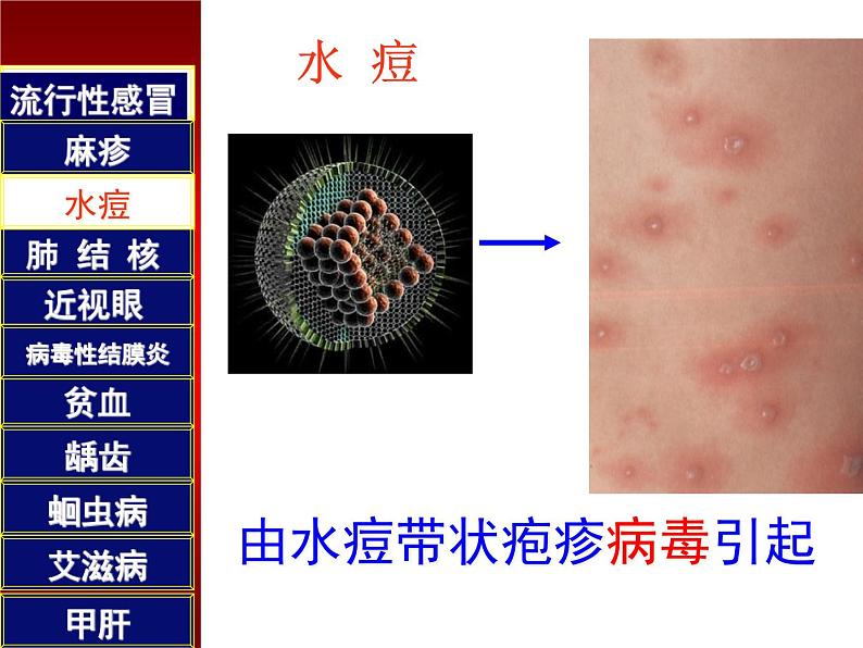 初中生物人教版八年级下册 第一节传染病及其预防 5 课件第6页