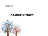 初中生物人教版八年级下册 第三节基因的显性和隐性 3 课件