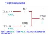 初中生物人教版八年级下册 第三节基因的显性和隐性 3 课件