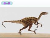 初中生物人教版八年级下册 第二节生物进化的历程 课件