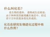 初中生物人教版八年级下册 第二节生物进化的历程 课件