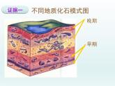 初中生物人教版八年级下册 第二节生物进化的历程 课件