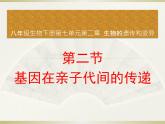 初中生物人教版八年级下册 第二节基因在亲子代间的传递 2 课件
