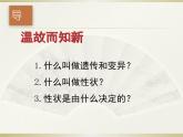 初中生物人教版八年级下册 第二节基因在亲子代间的传递 2 课件