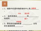 初中生物人教版八年级下册 第二节基因在亲子代间的传递 2 课件