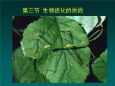 初中生物人教版八年级下册 第三节生物进化的原因 课件
